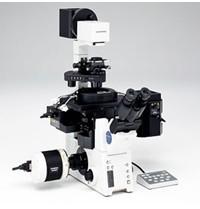 OLYMPUS/奧林巴斯 IX81電動(dòng)倒置顯微鏡